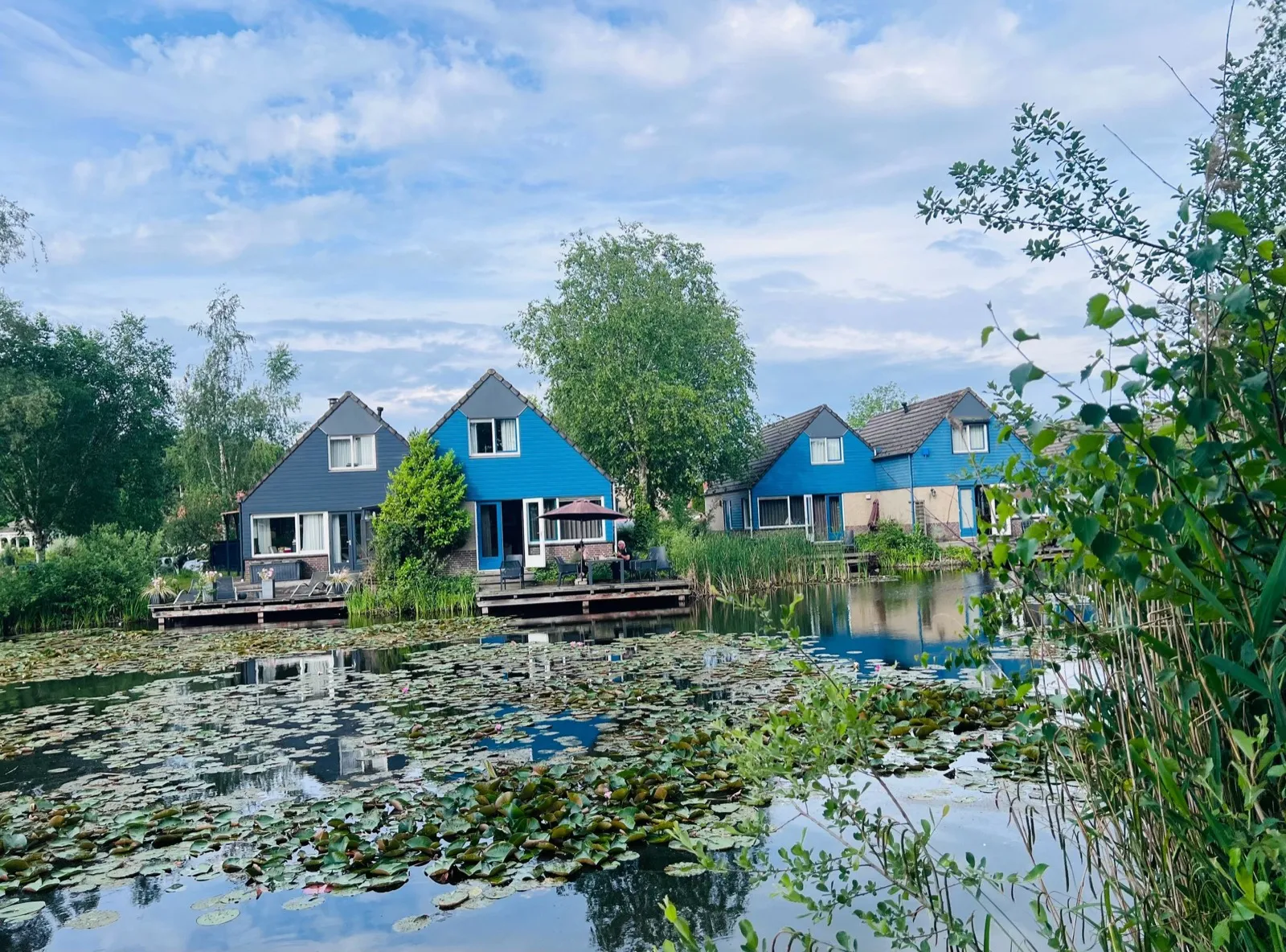 Blaue Ferienbungalows mit Terrassen direkt am Wasser, davor ein Teppich aus Seerosen