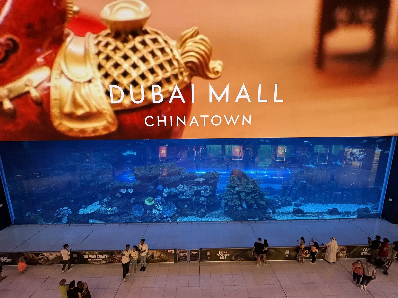 Die große Aquarium-Glaswand im Erdgeschoss der Dubai Mall